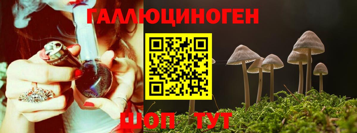 Псилоцибиновые грибы мицелий Родники