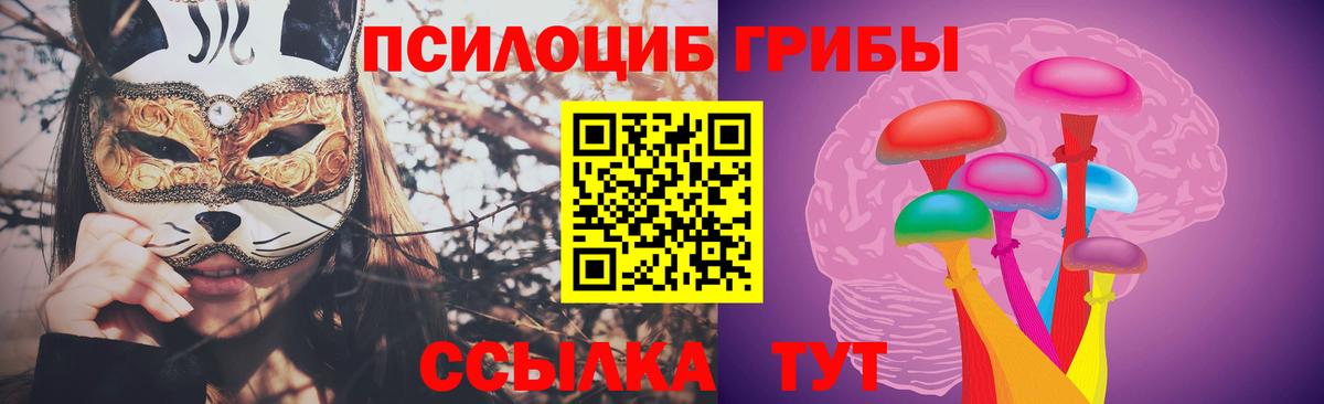 Родники  Псилоцибиновые грибы Psilocybe  Вход с VPN  купить наркоту  Галлюциногенные грибы Psilocybine cubensis 